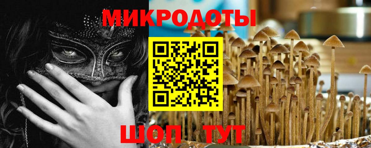 Галлюциногенные грибы MAGIC MUSHROOMS  Вход с VPN  Прохладный  купить  сайты  Галлюциногенные грибы MAGIC MUSHROOMS 